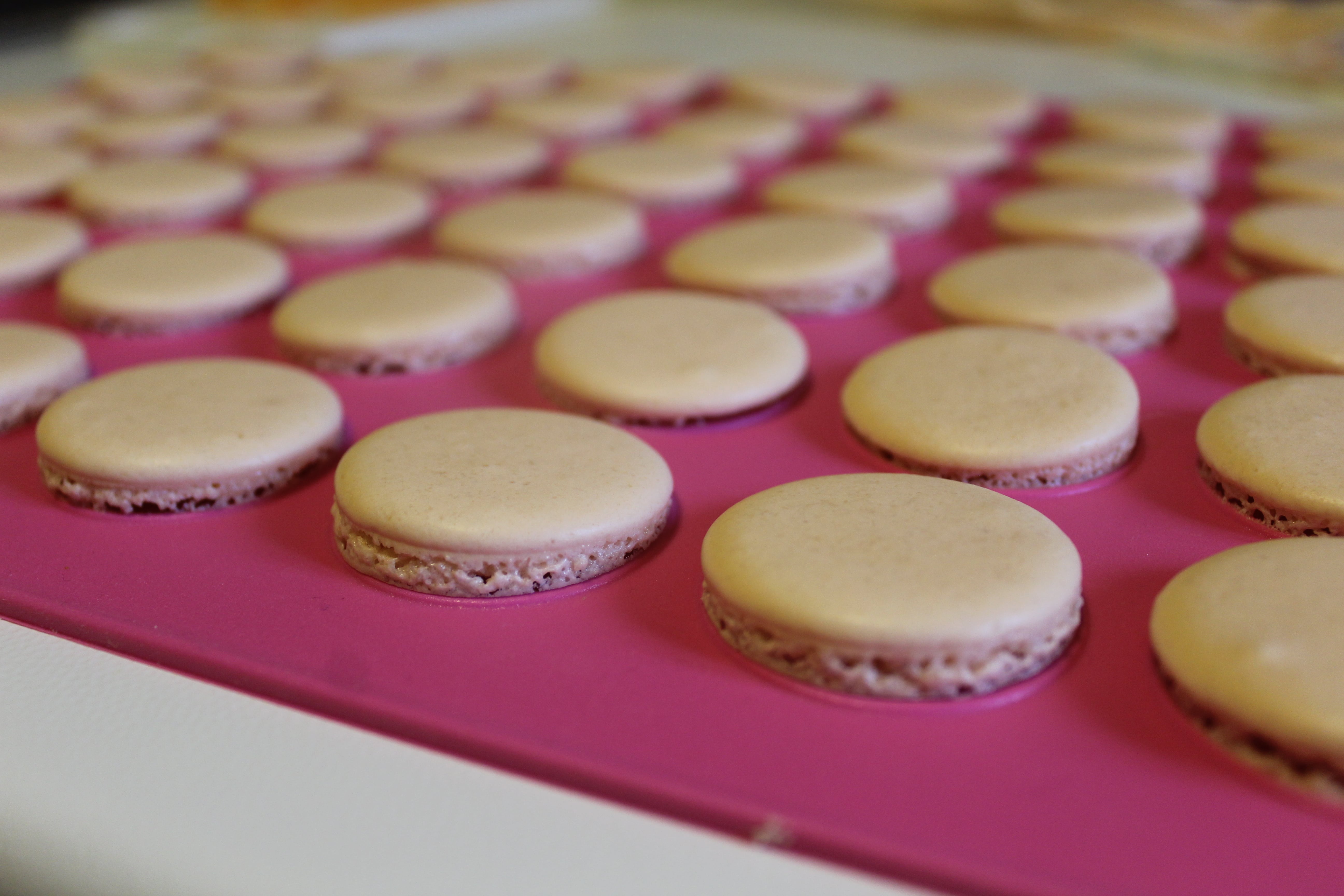 macaron cotti