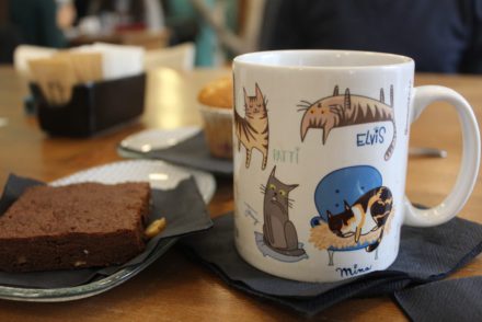 crazy cat cafe