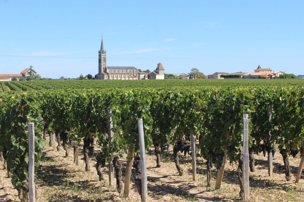 vigneti del pomerol