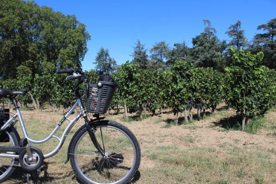 pomerol in bicicletta