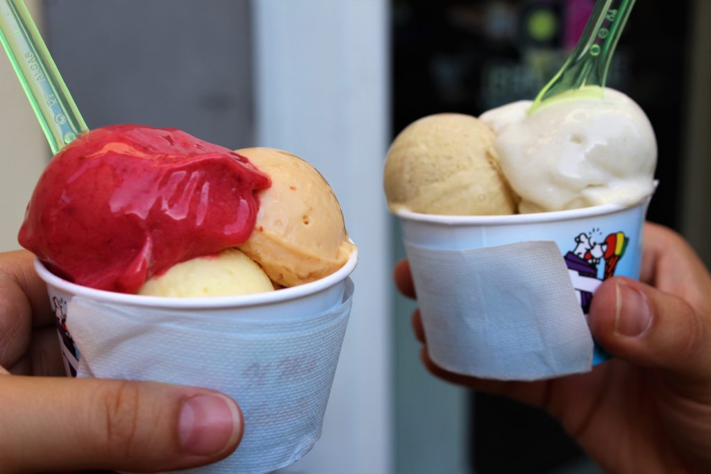 gelateria della passera a firenze