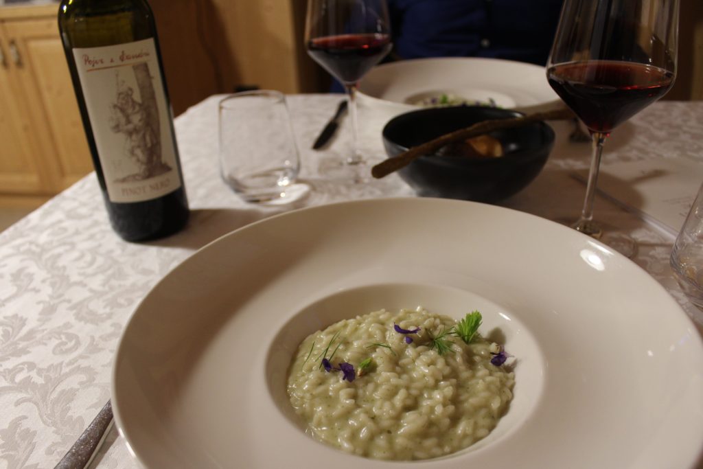 risotto alle gemme di pino