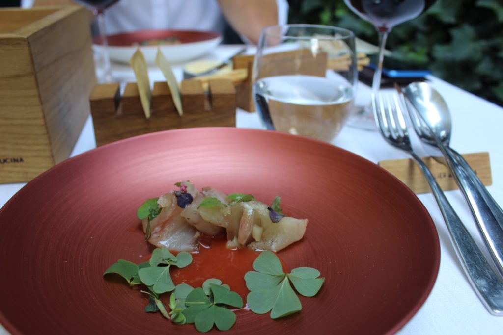 crudo di ombrina