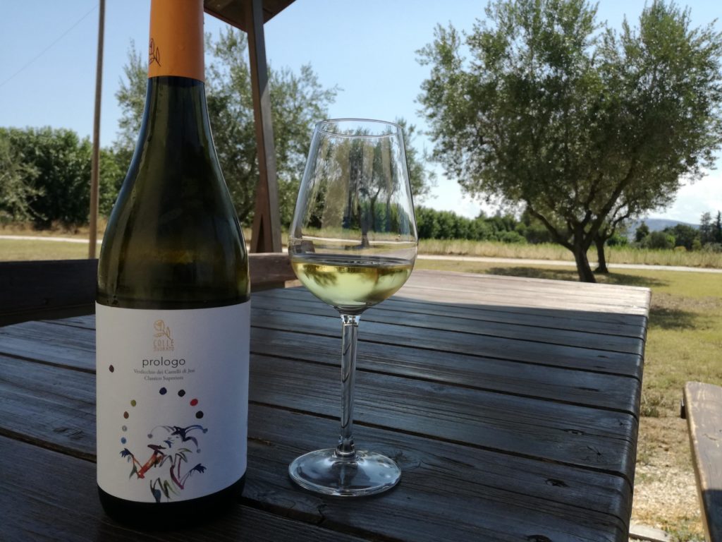 prologo verdicchio dei castelli