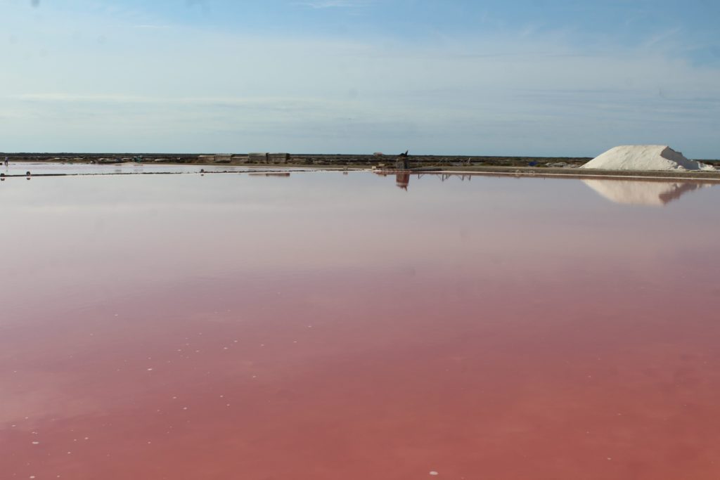 saline di gruissan